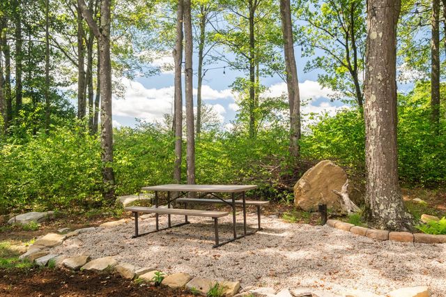 The fire pit with the picnic table alongside — the whole group around one fire a